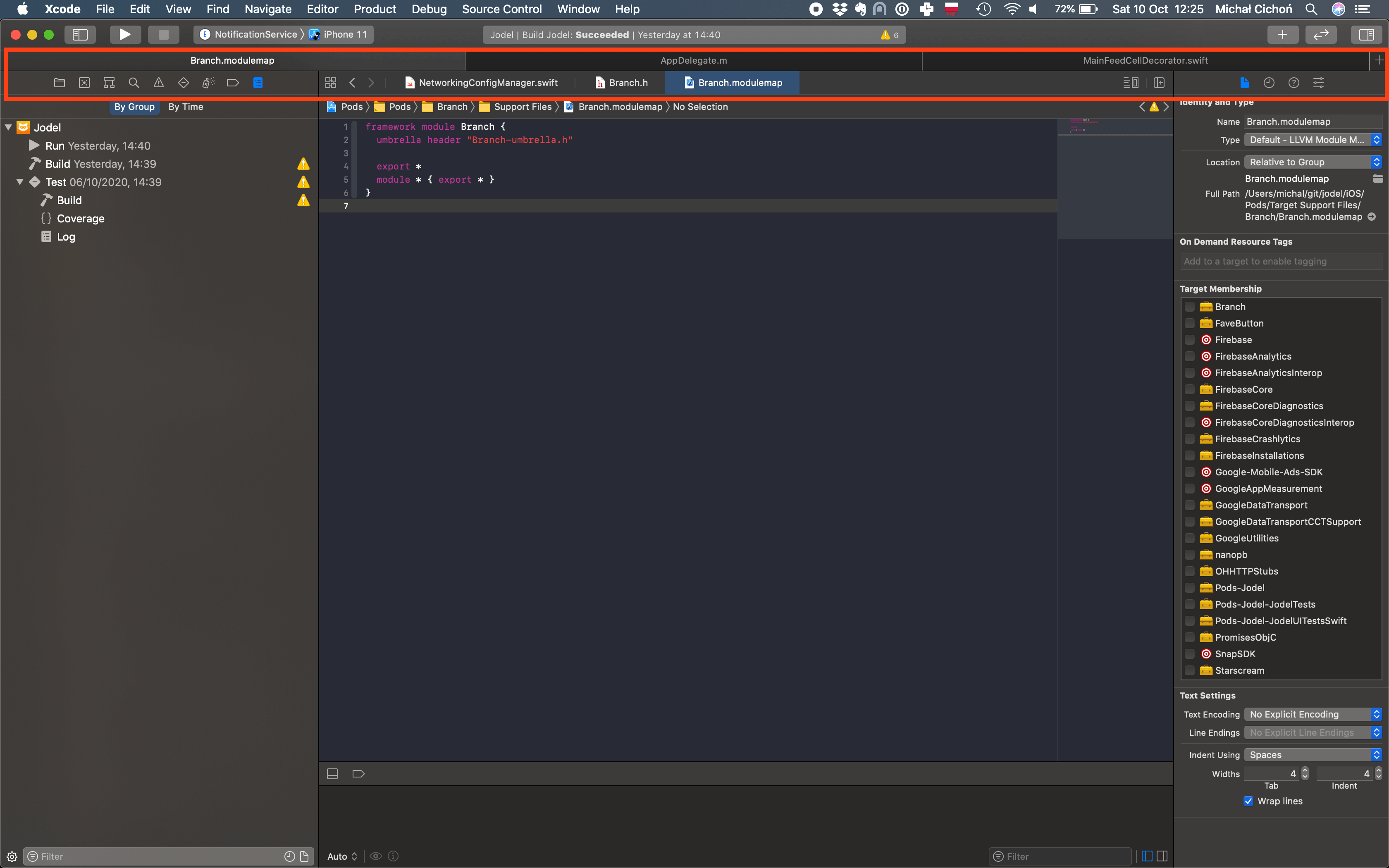 Two layers of nested tabs in Xcode (window and document tabs)